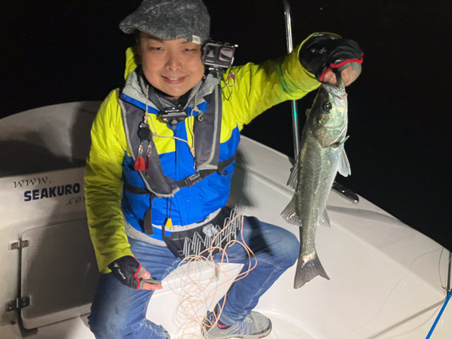 シーバス(スズキ)