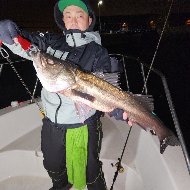 シーバス(スズキ)