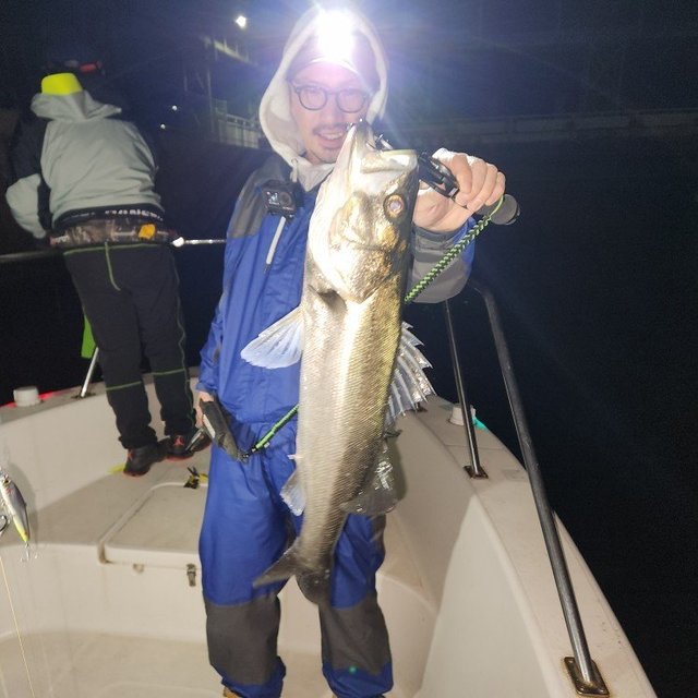 シーバス(スズキ)