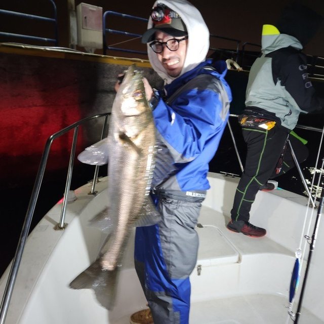 シーバス(スズキ)