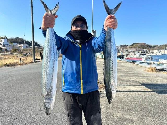 サワラ・サゴシ(サワラ)