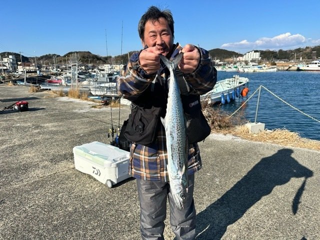 サゴシ(サワラ)