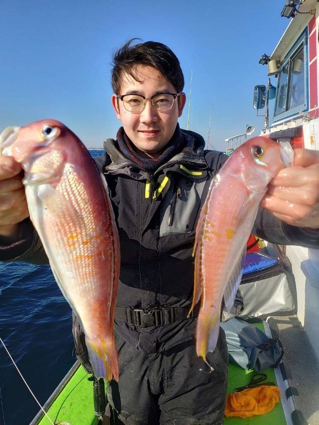 アマダイ(アカアマダイ)