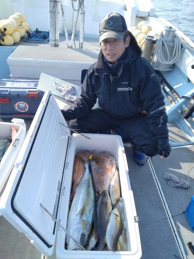 マダイ・ヒラマサ・イサキ