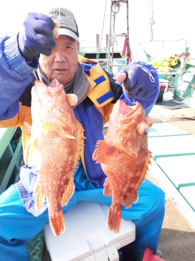 アラカブ(カサゴ)