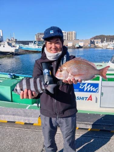 マダイ・イシダイ