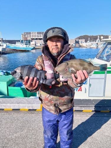 イシダイ・ウマヅラ(ウマヅラハギ)