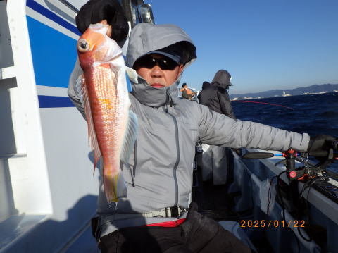 アマダイ(アカアマダイ)