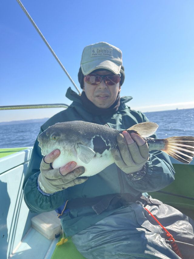 フグ(トラフグ)