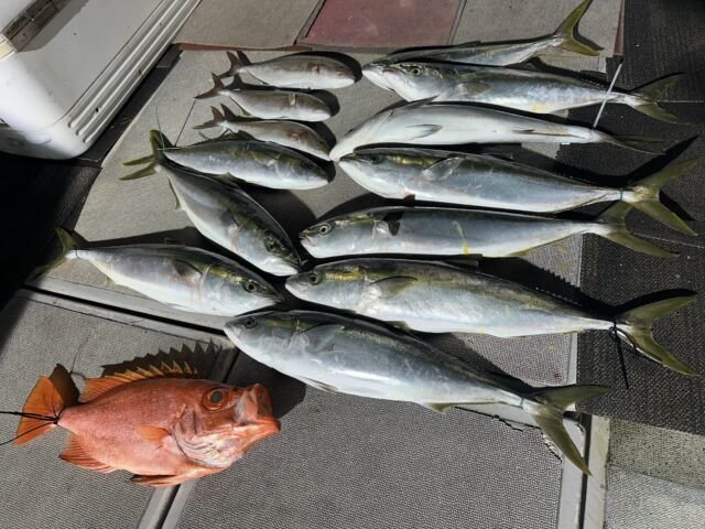 ブリ・チカメキントキ