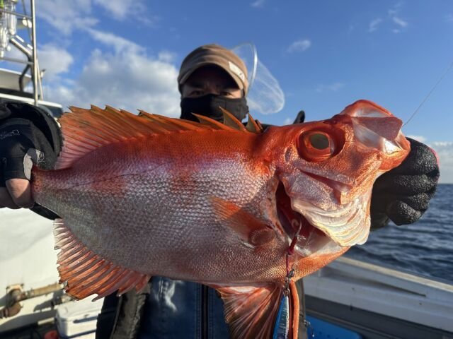 チカメキントキ