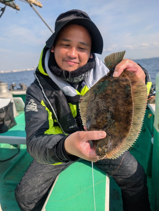 カレイ(マコガレイ)