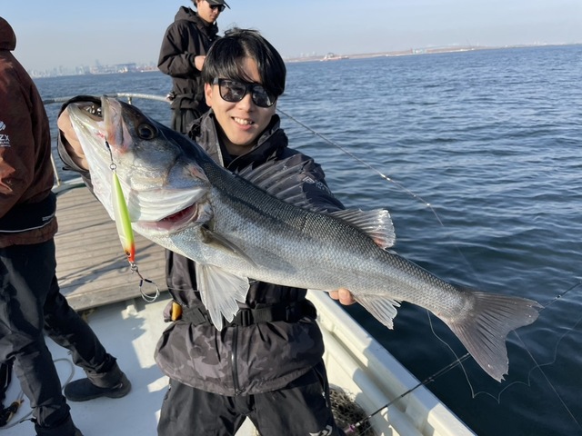 シーバス(スズキ)