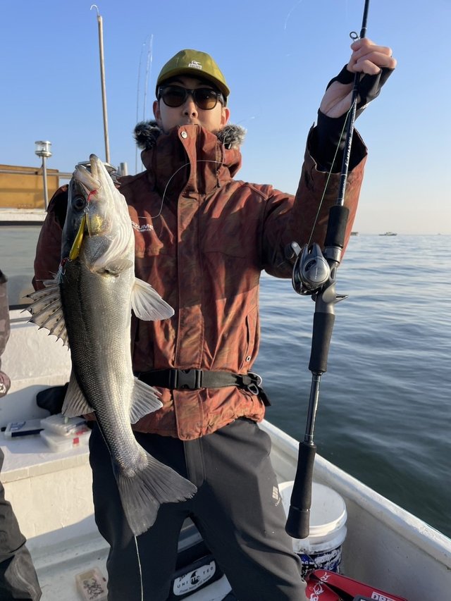 シーバス(スズキ)