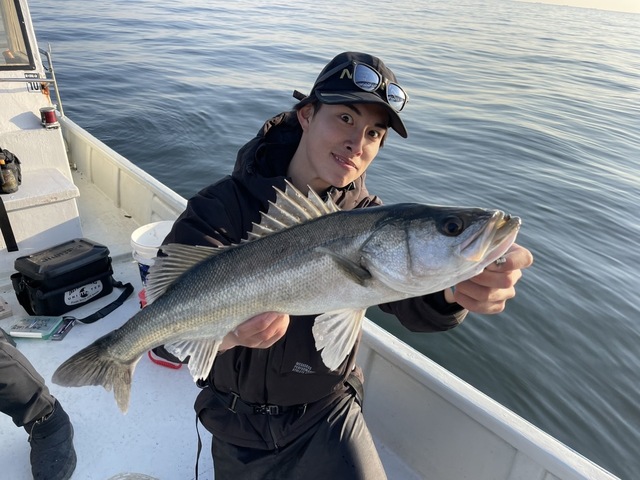 シーバス(スズキ)