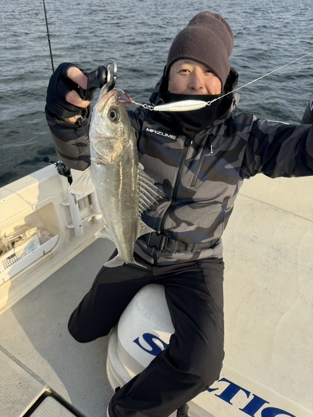 シーバス(スズキ)