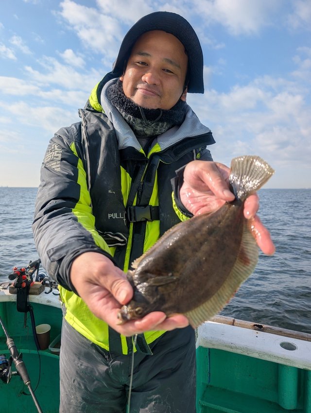 カレイ(マコガレイ)