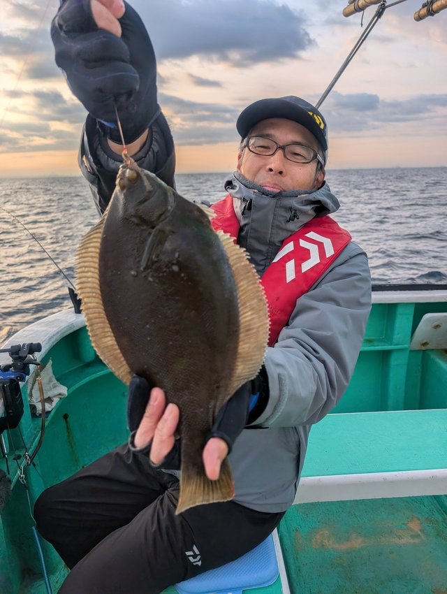 カレイ(マコガレイ)