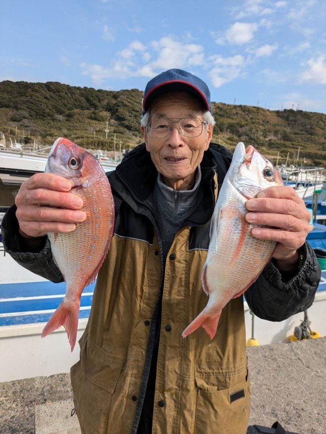 ハナダイ(チダイ)