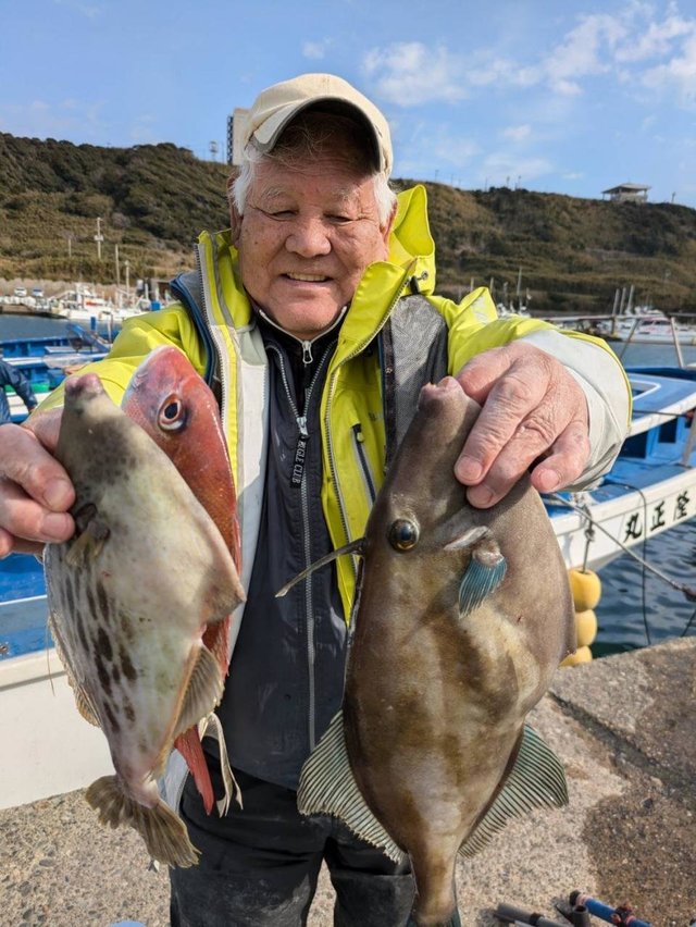 ハナダイ(チダイ)・ウマズラ(ウマヅラハギ)