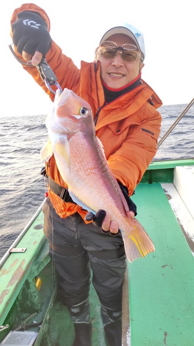 アマダイ(アカアマダイ)