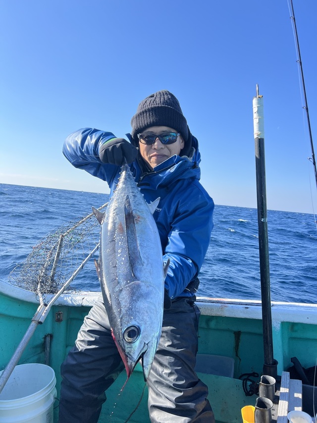 ビンチョウマグロ(ビンナガ)