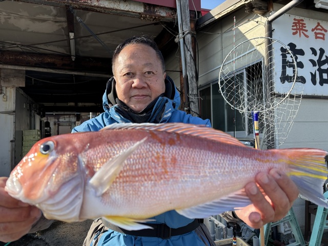 アマダイ(アカアマダイ)