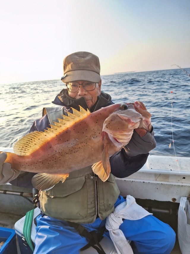 アオナ(アオハタ)