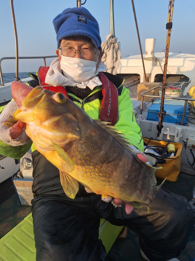 アオナ(アオハタ)