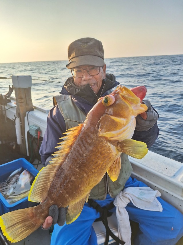 アオナ(アオハタ)