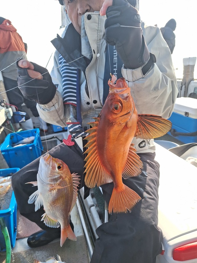 レンコ(キダイ)・チカメキントキ