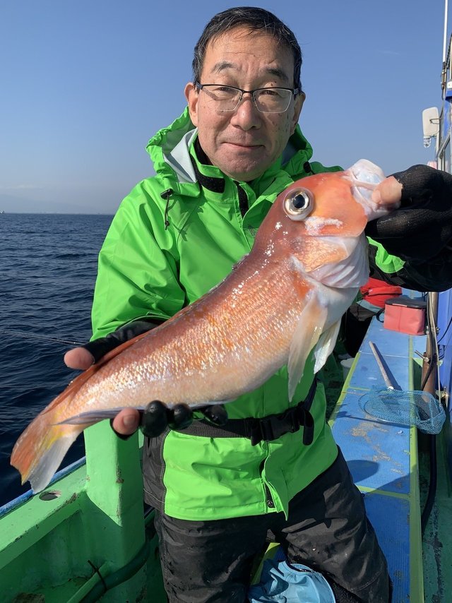 アマダイ(アカアマダイ)