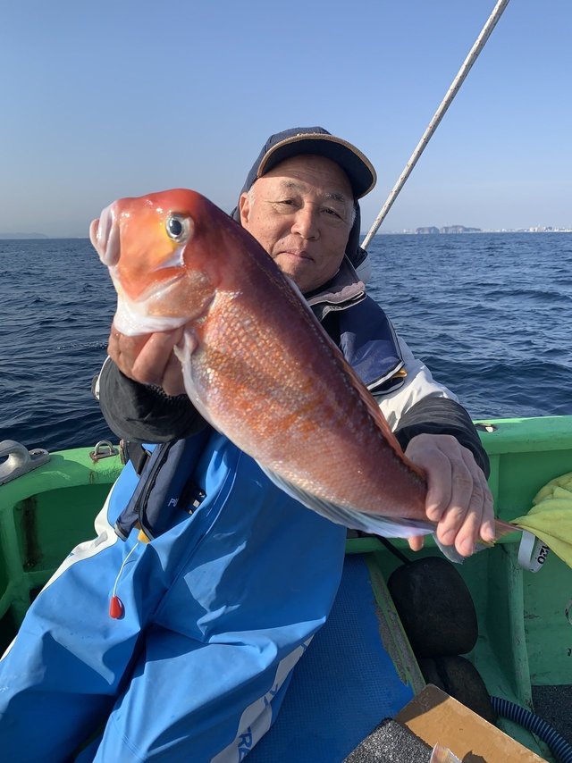 アマダイ(アカアマダイ)