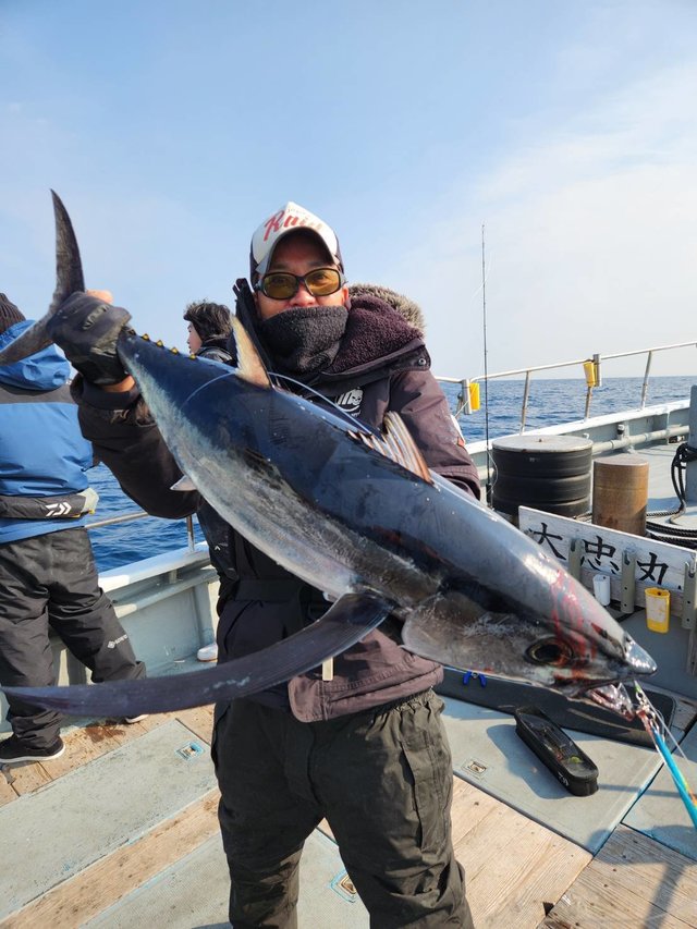 トンボ(ビンナガ)