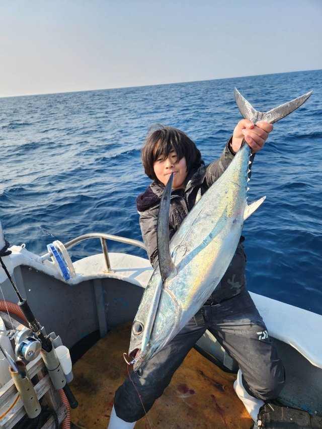 トンボ(ビンナガ)