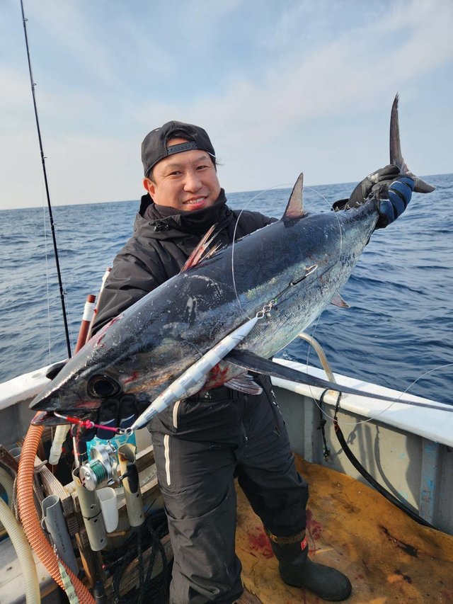 トンボ(ビンナガ)