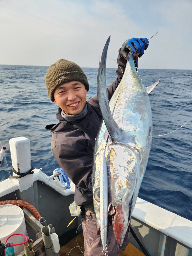 トンボ(ビンナガ)