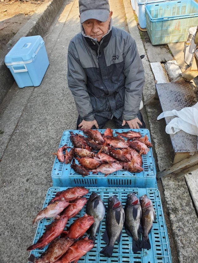 ガシラ(カサゴ)・メバル