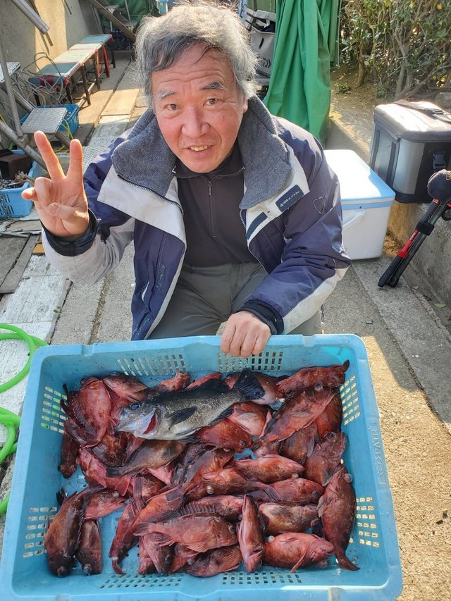 ガシラ(カサゴ)・メバル