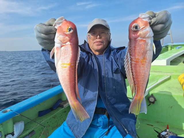 アマダイ(アカアマダイ)