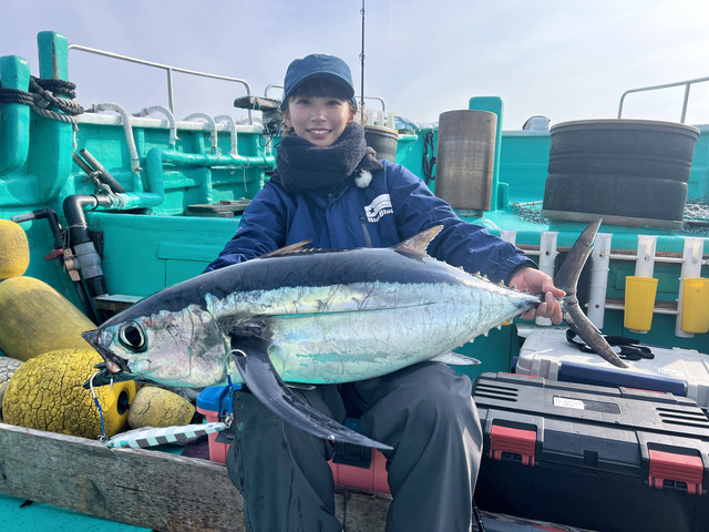 ビンチョウマグロ(ビンナガ)