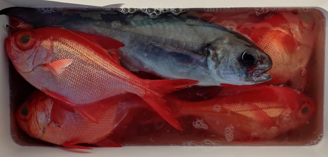 キンメ(キンメダイ)