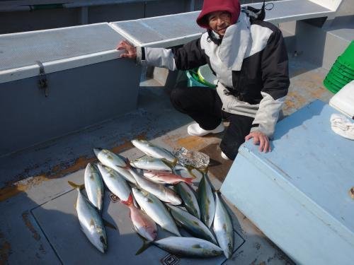 マダイ・イナダ(ブリ)