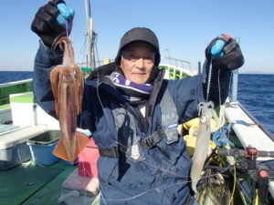 ヤリイカ・スルメイカ