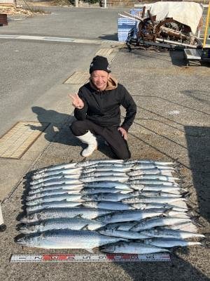 サワラ・サゴシ(サワラ)