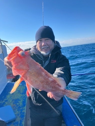 カンコ(ウッカリカサゴ)