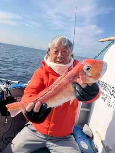 アマダイ(アカアマダイ)