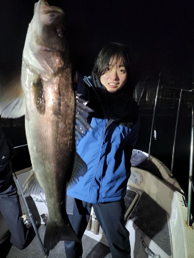 シーバス(スズキ)