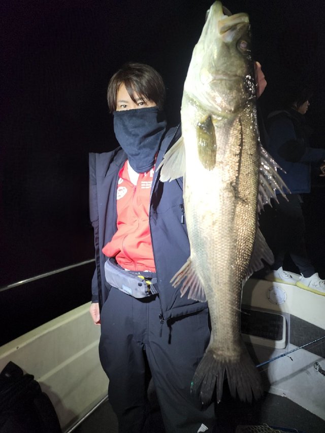 シーバス(スズキ)