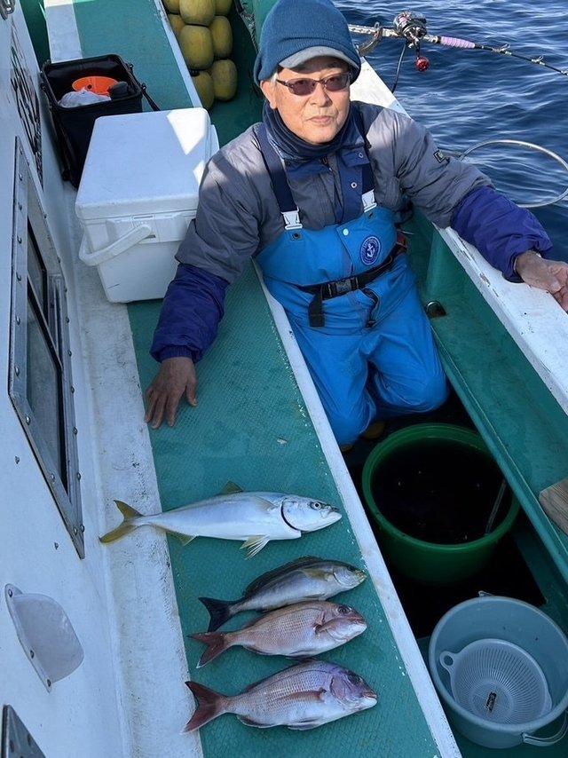 マダイ・イナダ(ブリ)